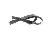 MEYLE Courroie Poly-V Courroie d'accessoire 050 004 0950