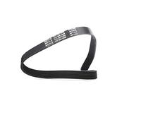 MEYLE Courroie Poly-V Courroie d'accessoire 050 006 0800