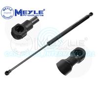 Meyle Germany 1x Hayon Support/Capot arrière Coffre Essence Partie Printemps 140