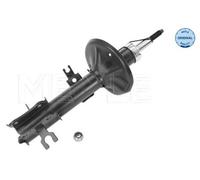 MEYLE Jambe de suspension Amortisseur pour CHEVROLET Aveo / Kalos Berline (T200)