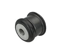 Meyle Palier, Corps d'essieu 1007100009