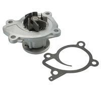 MEYLE Pompe à eau 36-132200013 Compatible avec: DACIA DOKKER Express Kasten/Großraumlimousine, DOKKER Großraumlimousine, DUSTER, DUSTER, DUSTER Kasten/SUV, LODGY, LOGAN II, LOGAN MCV II, SANDERO II