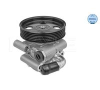 MEYLE Pompe De Direction Hydraulique Compatible Pour Ford Fiesta V JH_ JD_