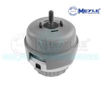 Meyle Support Moteur Avant Gauche Montage 100 199 0173