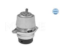 Support moteur côté conducteur + passager av. Support hydraulique 100 199 0215