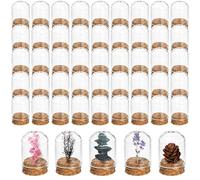 Mezchi Lot de 50 mini bocaux en verre avec couvercles en liège, dôme en verre de 8 ml avec base, dôme décoratif pour spécimen, stockage de fleurs, affichage d'art, cadeaux de fête