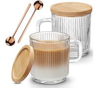 Mfacoy Lot de 2 tasses à café en verre avec poignée et cuillère, tasses à café en verre avec couvercle en bambou, tasses à thé transparentes pour boissons chaudes/froides, ensemble de verrerie pour