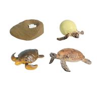 MFMEXUL Animal Life Cycle Figurines Lot Animal Figures Croissance Observation Ensemble Biologie Simulation Convient Enseignement Jeux Crèche Rôle, tortue de mer