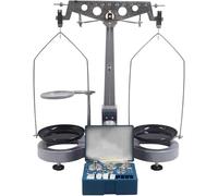 MFRELMNZG Balance mécanique de précision 500 g x 0,02 g, Levier Unique, avec Poids Standard, équipement expérimental et Supports pédagogiques de mécanique Physique
