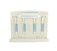 MFRELMNZG Démonstration de la Relation Entre la Vitesse d'écoulement d'un Fluide et la Pression : matériel expérimental de Physique ; démonstration de la Relation Entre la Vitesse d'écouleme