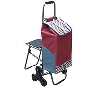 MFRELMNZG Heavy Duty Trolley Bag with Steel Handle 6 Wheels 100kg Capacity 33L Removable Folding Seat Ideal for Supermarket Travel Picnic Stair Climbing