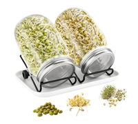MFUSUL Bocal de Germination, 2 x 750ml Germoir en Verre Bocal à Germes, 2 Couvercle à Grille en Acier Inoxydable, 1 Plateau, 2 Support, pour La Luzerne, Le Brocoli et Les Haricots Mungo
