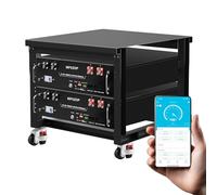 MFUZOP Batterie Lithium 48V 100Ah LiFePO4 5,12 kWh, Batterie Rack Serveur avec BMS 100A Intégré, Bluetooth & App, 15000+ Cycles, pour Énergie Solaire, Off-Grid, Camping-Car (48V 100Ah (2 Pack))
