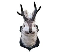 MFYOUPK Décoratif De Tête D'Animal, Sculpture Créative Et Réaliste, Décoration Murale En Forme De Tête D Animal, Pour Le Bureau Le Salon La Maison Le Séjour La Chambre Le Couloir Et Les Vacances