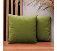 MG Design Lot de 2 Housses de Coussin 35 x 35 cm Vert - Velours Doux à léger reflet, décoratives pour canapé et Salon