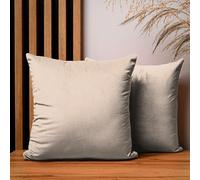 MG Design Lot de 2 Housses de Coussin 40 x 40 cm Beige - Velours Doux à léger reflet, décoratives pour canapé et Salon