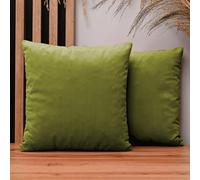 MG Design Lot de 2 Housses de Coussin 50 x 50 cm Vert - Velours Doux à léger reflet, décoratives pour canapé et Salon