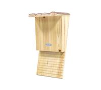 Mgc24 chauve-souris