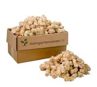 mgc24 Lot de 380 allume-feux en laine de bois et cire - 5 kg (environ 380 pièces)