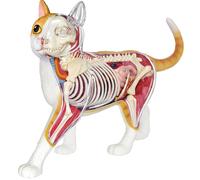 Mgm Bte/Explora Zoologie Chat Rouge - Apd 8 Ans - Notice