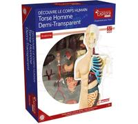 MGM - Explora - Anatomie buste - Expérience anatomie