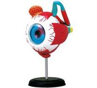 MGM Kit anatomie EXPLORA Œil 546054 – Modèle réaliste 32 pièces, notice et quiz – Dès 8 ans