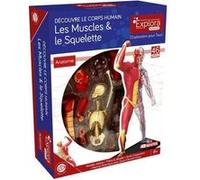 MGM - Explora - Anatomie squelette et muscles - Experience anatomie Neutre G