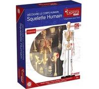 Permanent Mixte Bte/Explora Anatomie Squelette - No