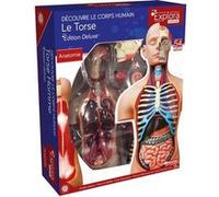 EXPLORA - Torse - Anatomie du Corps Humain - 546080 - Modèle Réaliste de 54 Pièces - Notice d'Assemblage et Quiz Éducatif - Kit de Découverte - Jeu pour Enfant - Scientifique - À Partir de 8 Ans