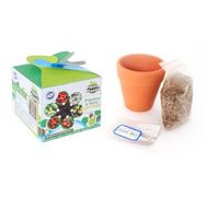 MGM - Kit de plantes à semer