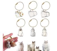 mgmooa Lot de 6 pendentifs commémoratifs en poils de chat en fourrure de chat, porte-clés souvenir, bouteille de rangement pour poils d'animaux,