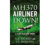 Mh370 Airliner Down!