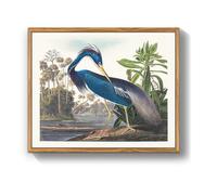 MHARTK66 Tableau Decoration Murale Naturelle Salon Chambre 30x40 cm | oiseaux, impression hd nette, facile à accrocher, montage rapide, utilisable dans plusieurs pièces, un bon choix de cadeau