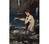 MHFFDYIV Célèbre Affiches et Impressions Peinture Motif Borée de John William Waterhouse Tableaux Muraux Toile Pour la Décoration de Bureau 60x90cm