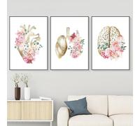 MHLCMG Anatomie Médecine Cœur Poumons Cerveau Affiche Toile Tableau Art Peintures Sans Cadre Decoration Murale pour Clinique Hospitalière Tableau Decoration (3X60X90CM,Sans Cadre)