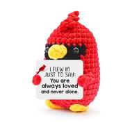 MHSMHL Cadeau cardinal pour femme, cadeau de condoléances pour la perte d'un être cher, cadeau commémoratif au crochet, soutien émotionnel, soutien émotionnel, étudiant, collègue de travail, cadeau de