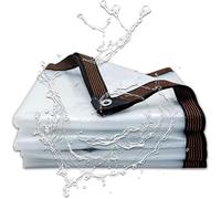 MHUQIA Bache Impermeable Exterieur Transparente 4x5m, BâChe D'Auvent ImperméAble en Plastique ÉPaissie Bache Impermeable avec Oeillet, pour Toit, Camping, ExtéRieur