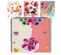 MhWrughts Sorbetière, Plaque de Cuisson en Acier Inoxydable, bac à Glace frite 28 x 34 cm, Machine à Glace frite avec 2 grattoirs pour la Fabrication de Glaces et de yaourts glacés.