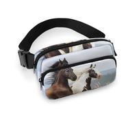 MHYRAC Sac banane multicolore arc-en-ciel, sac banane réglable pour course à pied, marche, randonnée, cheval, 20x13cm