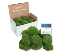 Mia Milano Boule de mousse conservée | Véritable matériau pour tableaux décoratifs | Durable pour bricolage | Mousse d'Islande naturelle verte résistante aux intempéries (250 g)