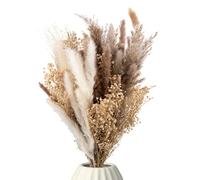 Mia Milano Bouquet de Fleurs séchées avec Vraie Herbe de Pampa et Eucalyptus, décoration de Salon (Herbes de la Pampa)