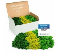 Mia Milano Mousse d'Islande Verte mélangée conservée | Mousse décorative pour Le Bricolage |1 kg de véritable Mousse décorative islandaise pour Tableau végétal | Mur végétal Vivant