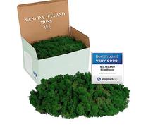 Mia Milano Mousse Naturelle décorative, pour Les crèche et Le Bricolage, en Plaque, réutilisable (Vert foncé, 1kg)