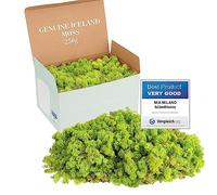 Mia Milano Mousse Naturelle décorative, pour Les crèche et Le Bricolage, en Plaque, réutilisable (Vert Lime, 250g)