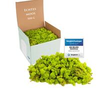 Mia Milano Mousse Naturelle décorative, pour Les crèche et Le Bricolage, en Plaque, réutilisable (Vert Lime, 500g)