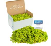 Mia Milano Mousse Naturelle décorative, pour Les crèche et Le Bricolage, en Plaque, réutilisable (Vert Lime, 1kg)