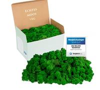 Mia Milano Mousse Naturelle décorative, pour Les crèche et Le Bricolage, en Plaque, réutilisable (Vert Naturel, 1kg)