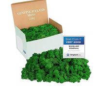 Mia Milano Mousse Naturelle décorative, pour Les crèche et Le Bricolage, en Plaque, réutilisable (Vert Naturel, 250g)