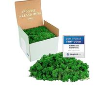 Mia Milano Mousse Naturelle décorative | pour Les crèche et Le Bricolage, en Plaque, réutilisable (Vert Naturel, 500g)