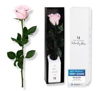 Mia Milano Rose Infinity Rose sur Tige (durée de Vie 5 Ans) Véritable Rose Rose dans Une boîte Cadeau élégante | Cadeau Saint Valentin | Fleur conservée au Parfum de Rose | Carte Cadeau Incluse